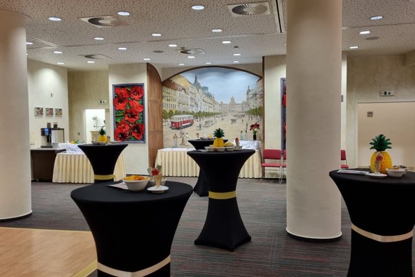 Hotel Amarilis - náhled 21