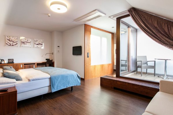 Hotel Carol - náhled 26