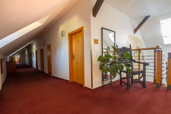Hotel Čertousy - náhled 7