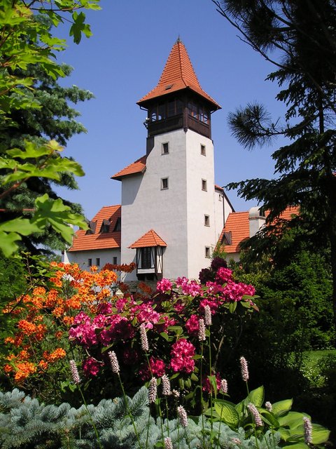 Hrad Červený Újezd - náhled 5