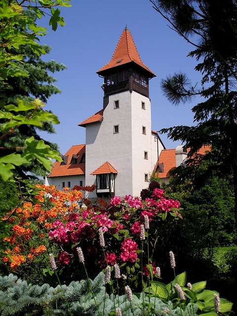 Hrad Červený Újezd - náhled 20