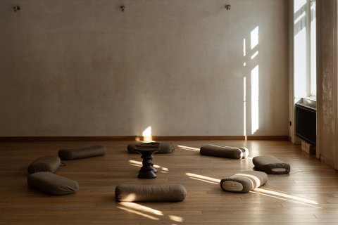 Iyengar Yoga Institut Praha - náhled 2