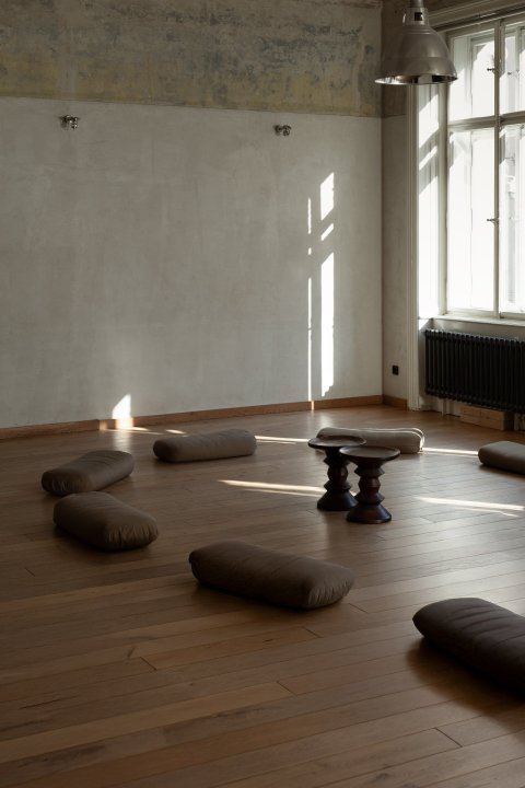 Iyengar Yoga Institut Praha - náhled 3