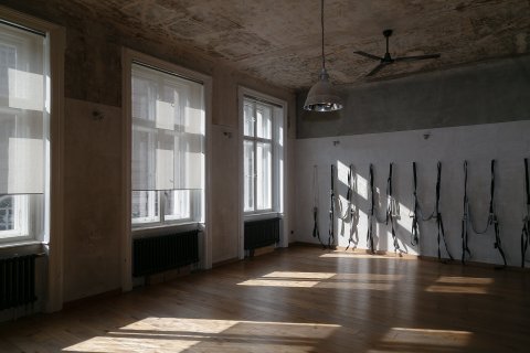 Iyengar Yoga Institut Praha - náhled 7