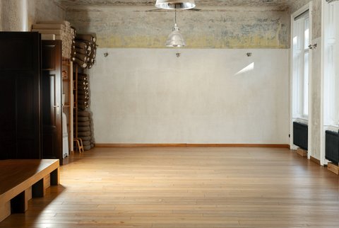 Iyengar Yoga Institut Praha - náhled 10