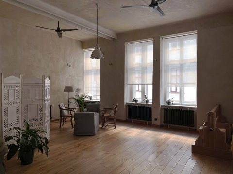 Iyengar Yoga Institut Praha - náhled 14