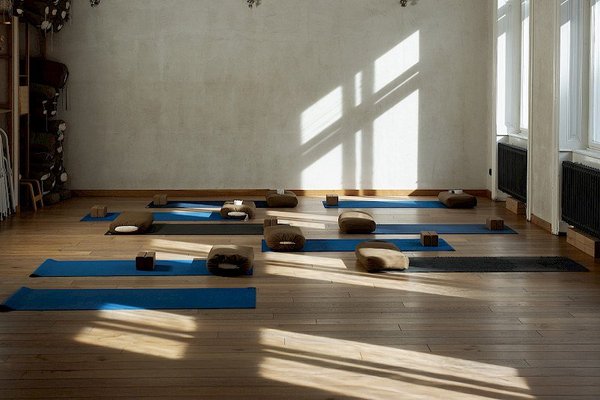 Iyengar Yoga Institut Praha - náhled 16