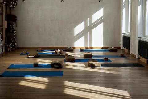 Iyengar Yoga Institut Praha - náhled 16