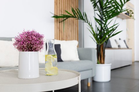 Kulinární studio MAFRA - náhled 29