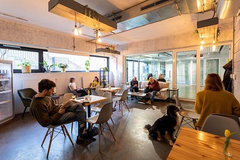 Kulturní centrum Vozovna - náhled 22