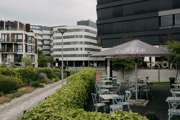 Light Roast Coffee - náhled 6