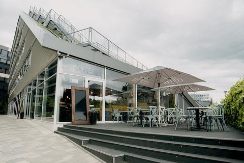 Light Roast Coffee - náhled 15