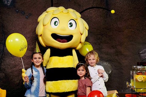 Narozeninová oslava s včelkou Májou - náhled 7