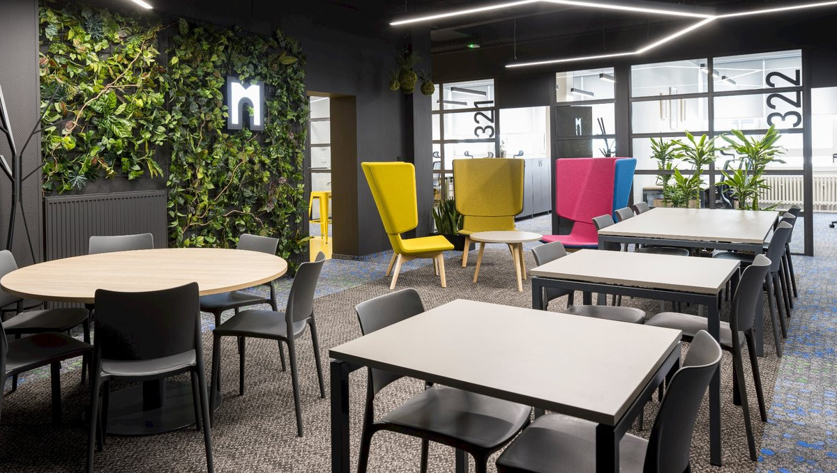 Mo-cha Vista - obrázek 1