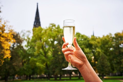 Národní kulturní památka Vyšehrad - náhled 5