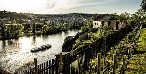 Národní kulturní památka Vyšehrad - náhled 17