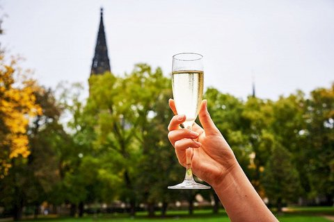 Národní kulturní památka Vyšehrad - náhled 20