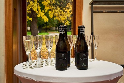 Národní kulturní památka Vyšehrad - náhled 21