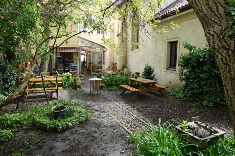 Natureza Vegetarian house - náhled 16