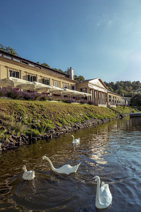 Občanská plovárna - Venkovní terasy - náhled 17