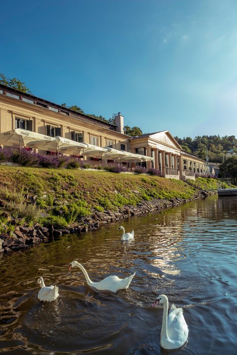 Občanská plovárna - Venkovní terasy - náhled 30