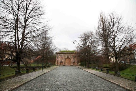 Písecká brána - náhled 19