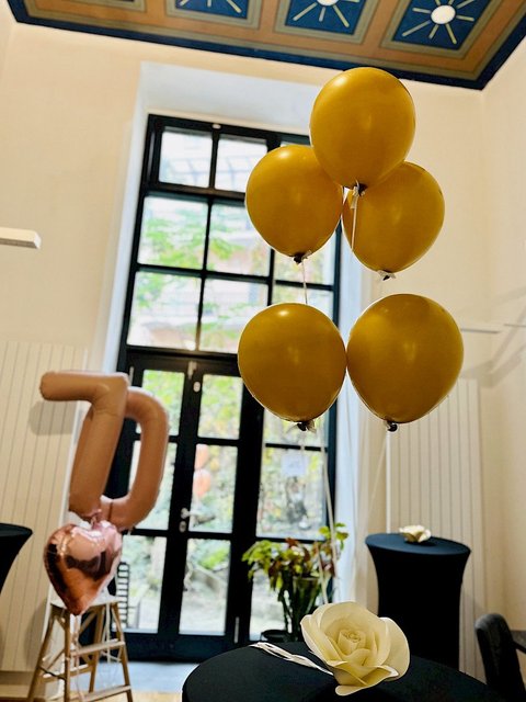 Prostor Mikovcova - náhled 24