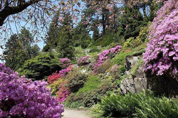 Průhonický park a zámek - náhled 20