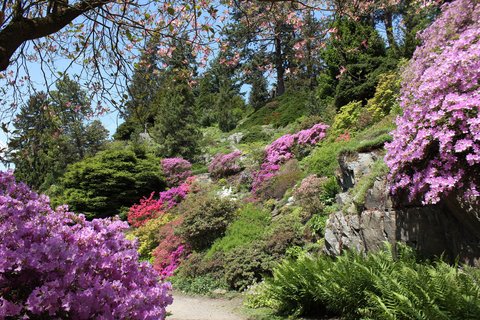 Průhonický park a zámek - náhled 29