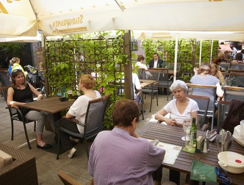 Restaurace Potrefená husa Albertov - náhled 7