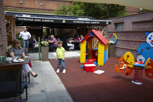 Restaurace Potrefená husa Albertov - náhled 8