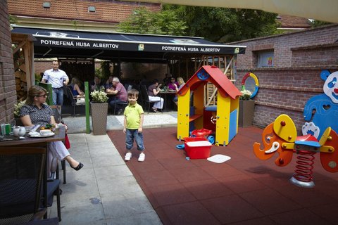 Restaurace Potrefená husa Albertov - náhled 8