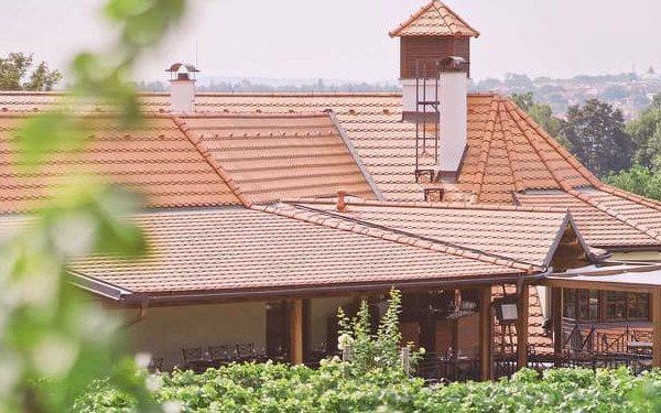 Salabka restaurace & vinařství v Praze - náhled 30