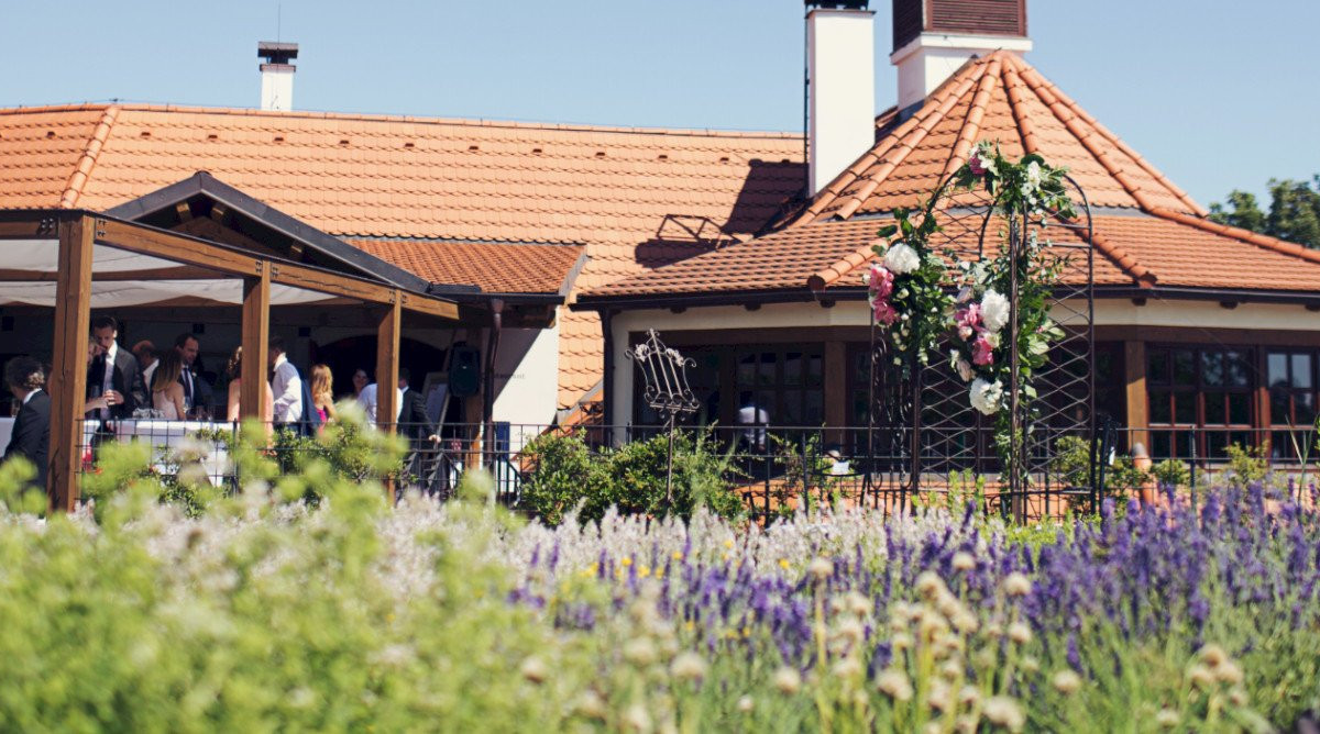 Salabka – restaurace & vinařství - obrázek 1