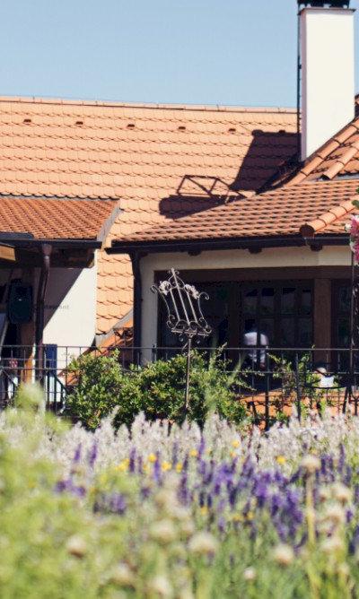 Salabka – restaurace & vinařství