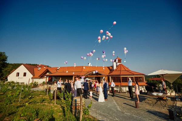 Salabka – restaurace & vinařství - náhled 16