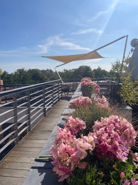 SouLadronka - náhled 11