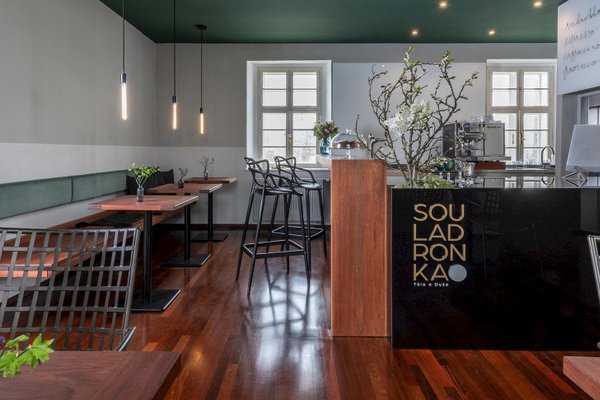 SouLadronka - náhled 12