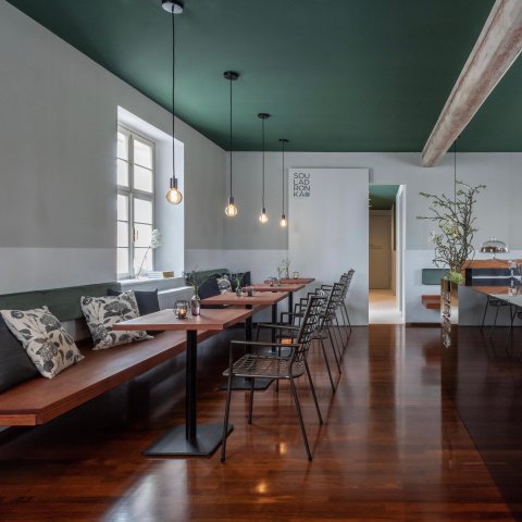 SouLadronka - náhled 19