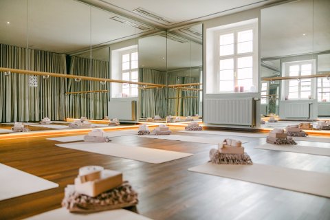 SouLadronka - náhled 23