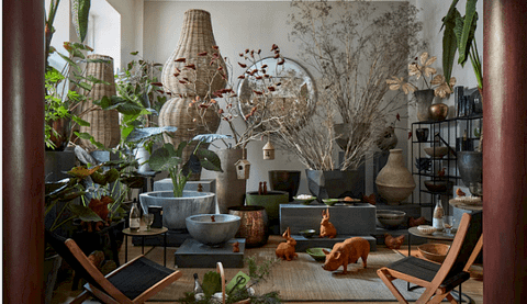 Sumo Garden - náhled 2