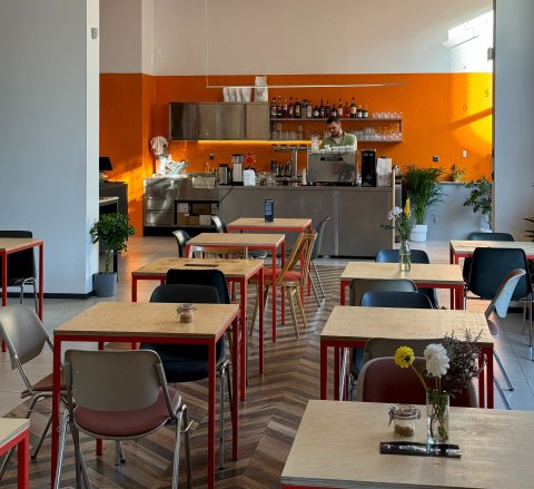 Tempo Anděl - náhled 9