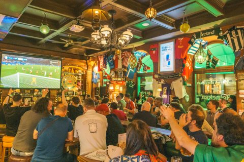 The Dutch Pub - náhled 17