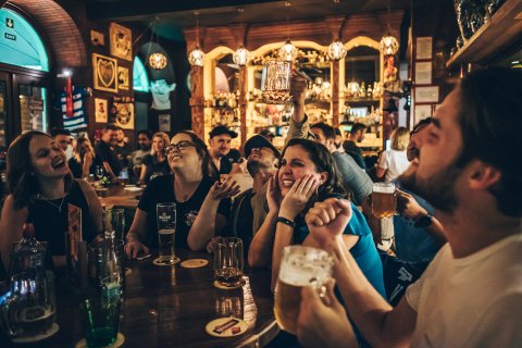 The Dutch Pub - náhled 20