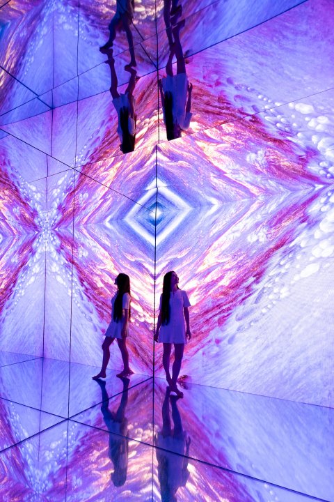 THE POP UP! - náhled 29