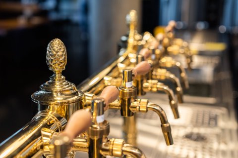 Turnovská pivnice Brumlovka - náhled 3