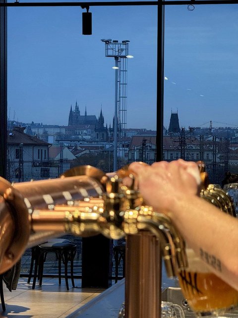 Turnovská pivnice Churchill - náhled 22