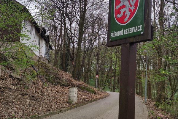 V Mejtě - náhled 3