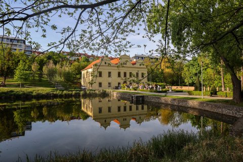 Vila Kajetánka - náhled 23