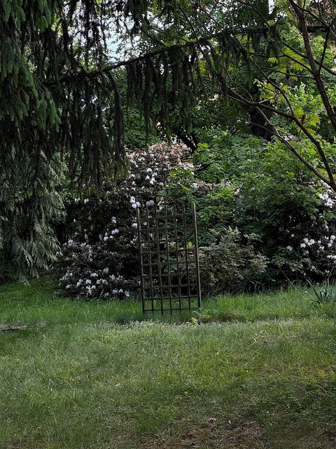 Vila Tusculum - náhled 5